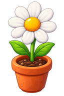 Planted daisy