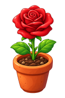 Planted rose