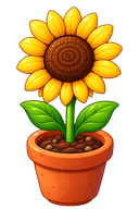 Planted sunflower