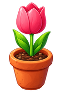 Planted tulip